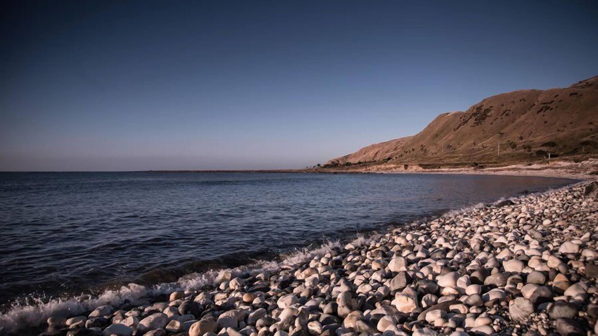 Glenburn House | The true kiwi bach experience,5 meters from the coastline
