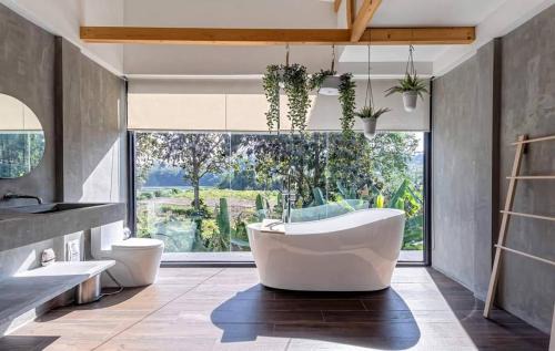 Sai Yok Resort | The Tryst River Kwai