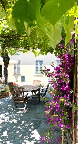 Pistoia House | The Tuscany Rose