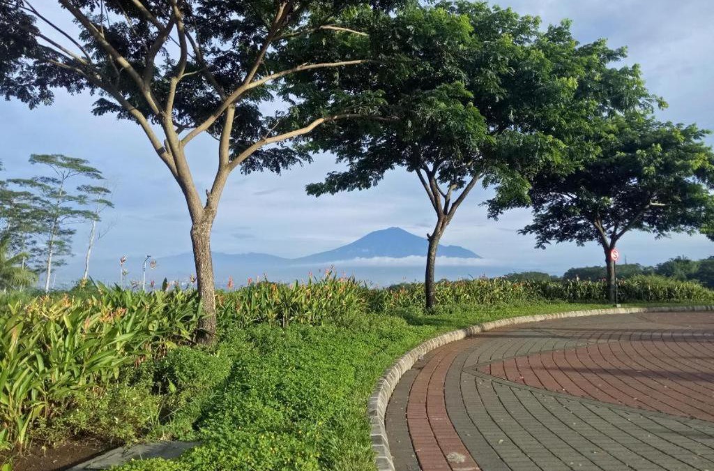 Malang House | The Valley Guesthouse