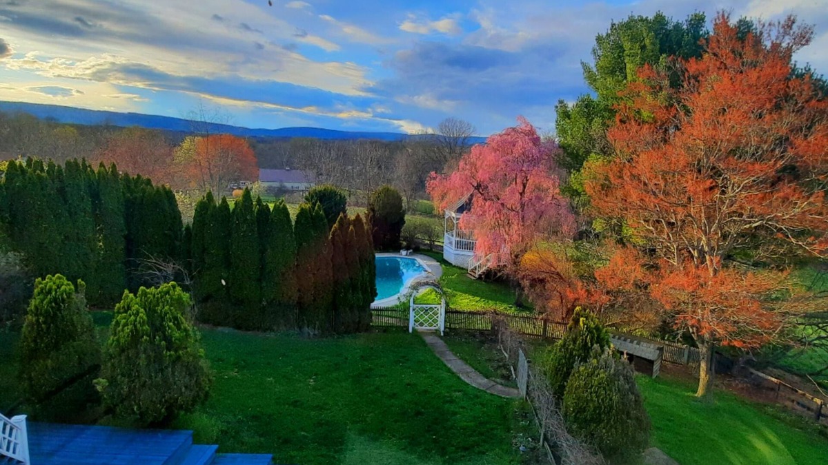Philomont Bed & Breakfast | The Van Gogh Room in Villa