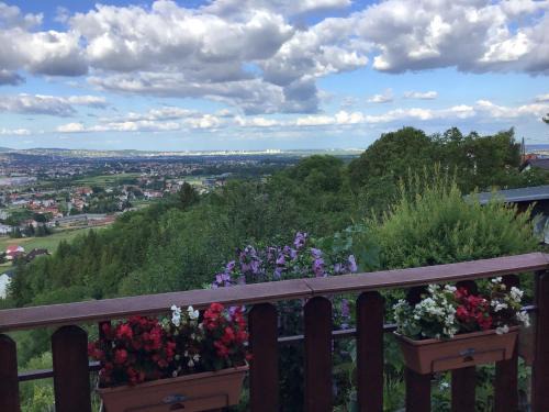 Sveta Nedelja House | The View