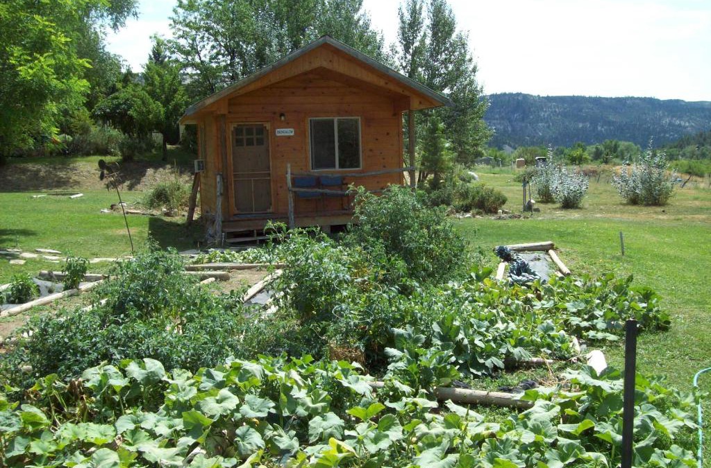 Glendale Cabin | The Wandering Star Inn