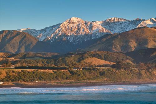 Hapuku House | The Whole Front House