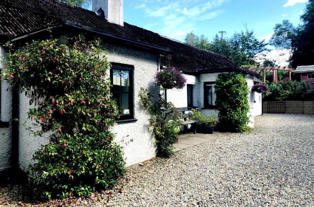 Ballinclea Cabin | The Wicklow Escape
