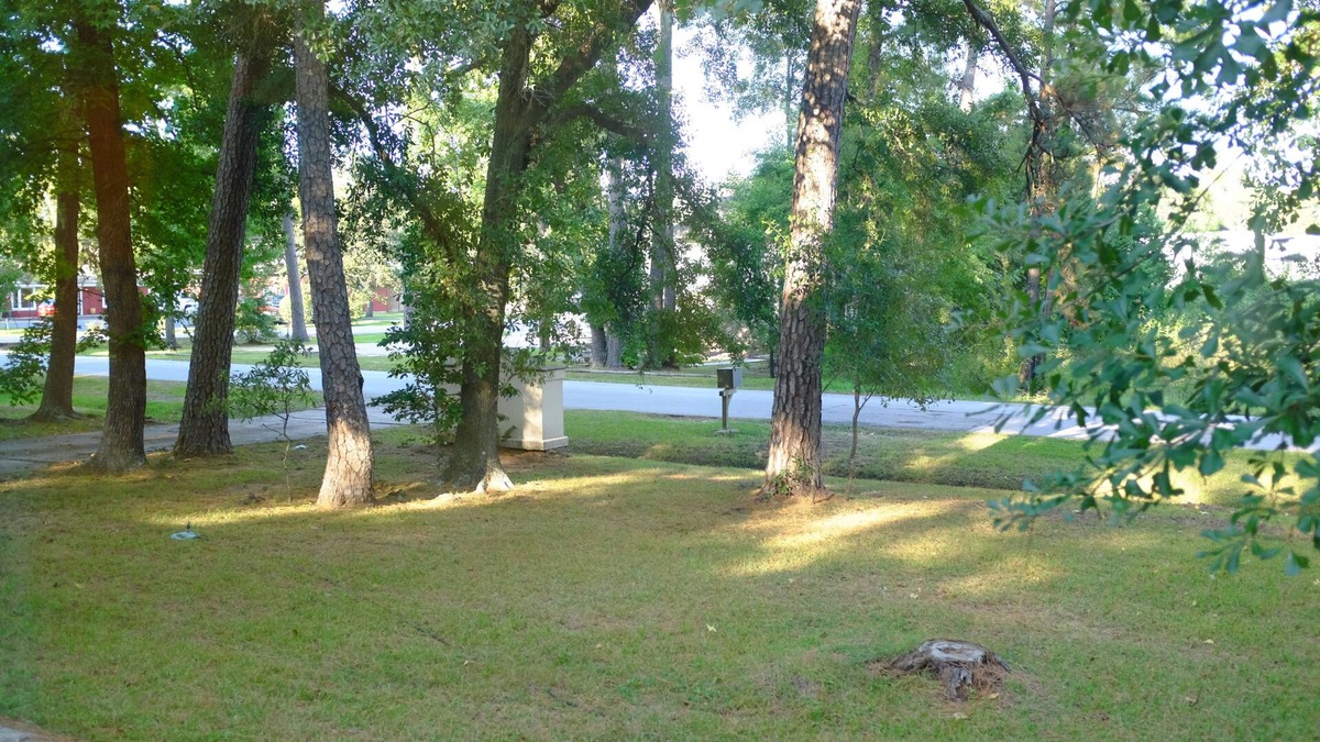 Grogan's Mill House | The Woodlands Superb Location, peaceful nature Guest Suite