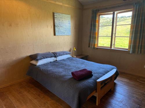 Amodeo Bay House | The Woolshed, Papa Aroha, Coromandel