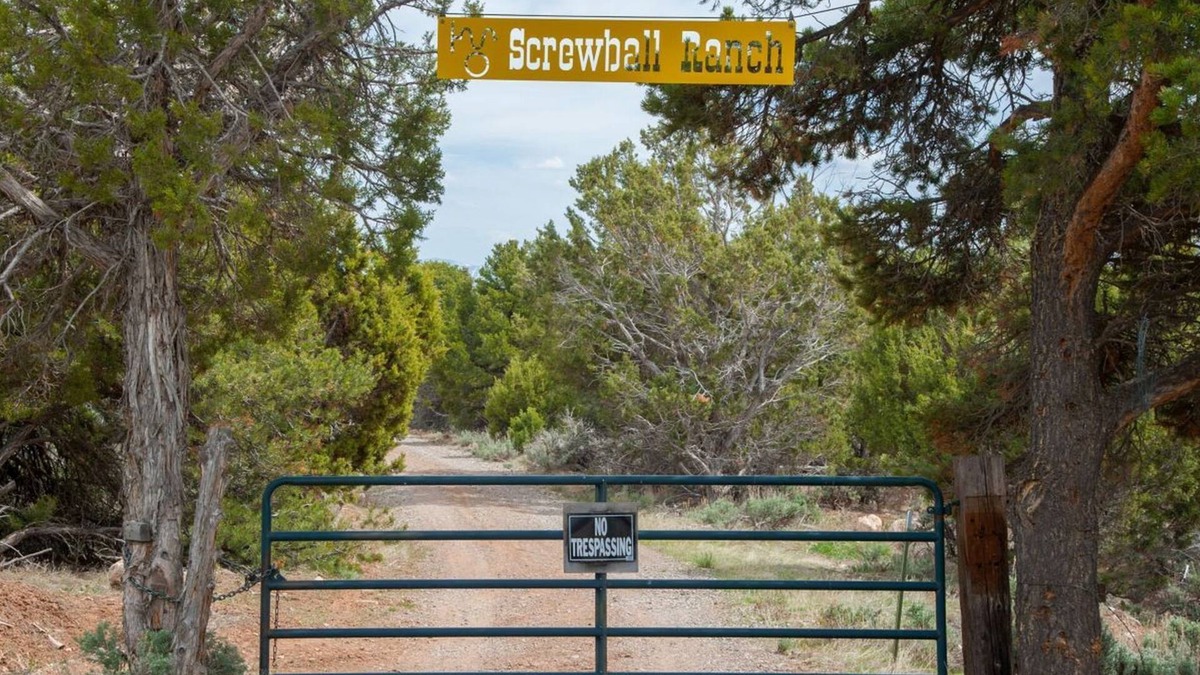Cedaredge Cabin | The YURT at Screwball Ranch