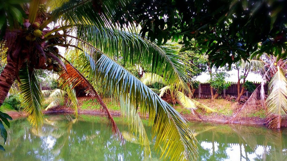 Suphan Buri Hotel | The Zoosk Resort