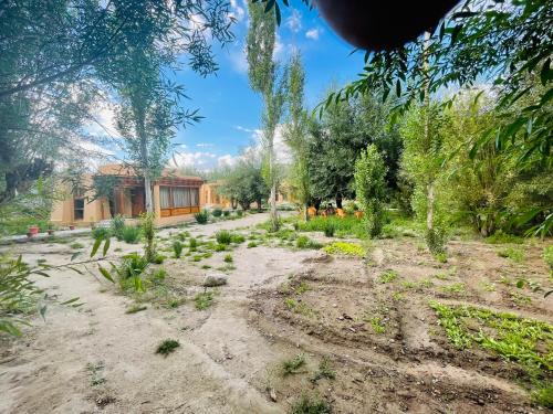 She Resort | Thiksay Organic Resort and Retreat