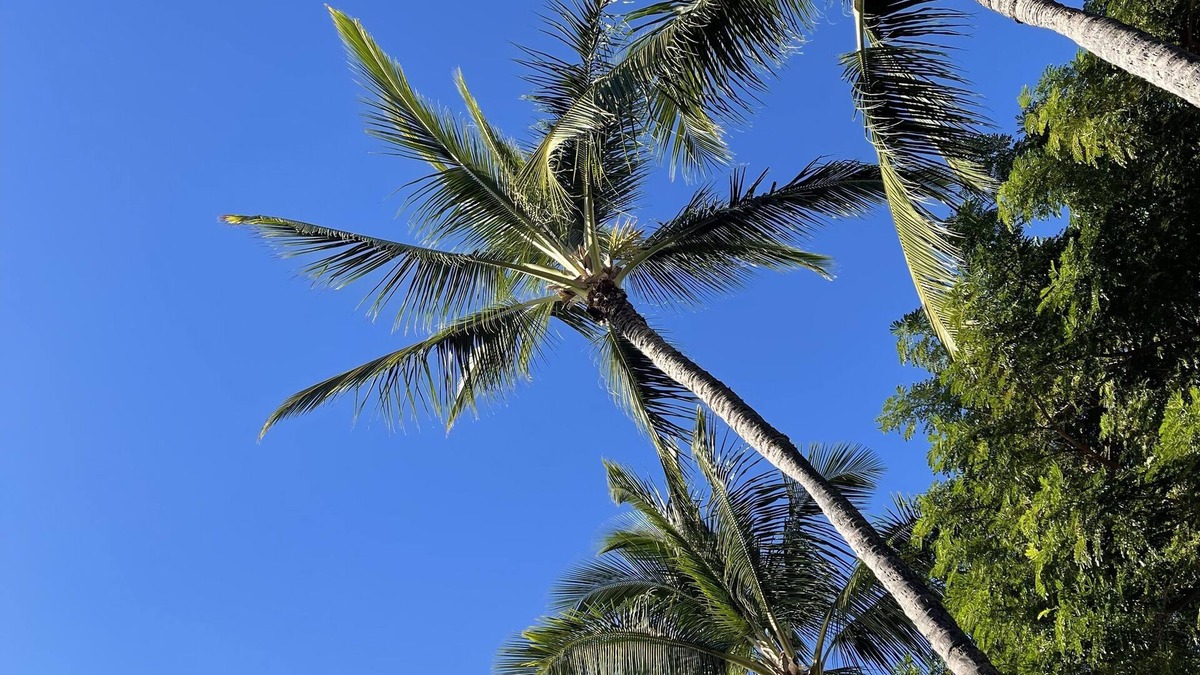 Halawa House | This hideaway is centered right in the middle of Oahu, Hi