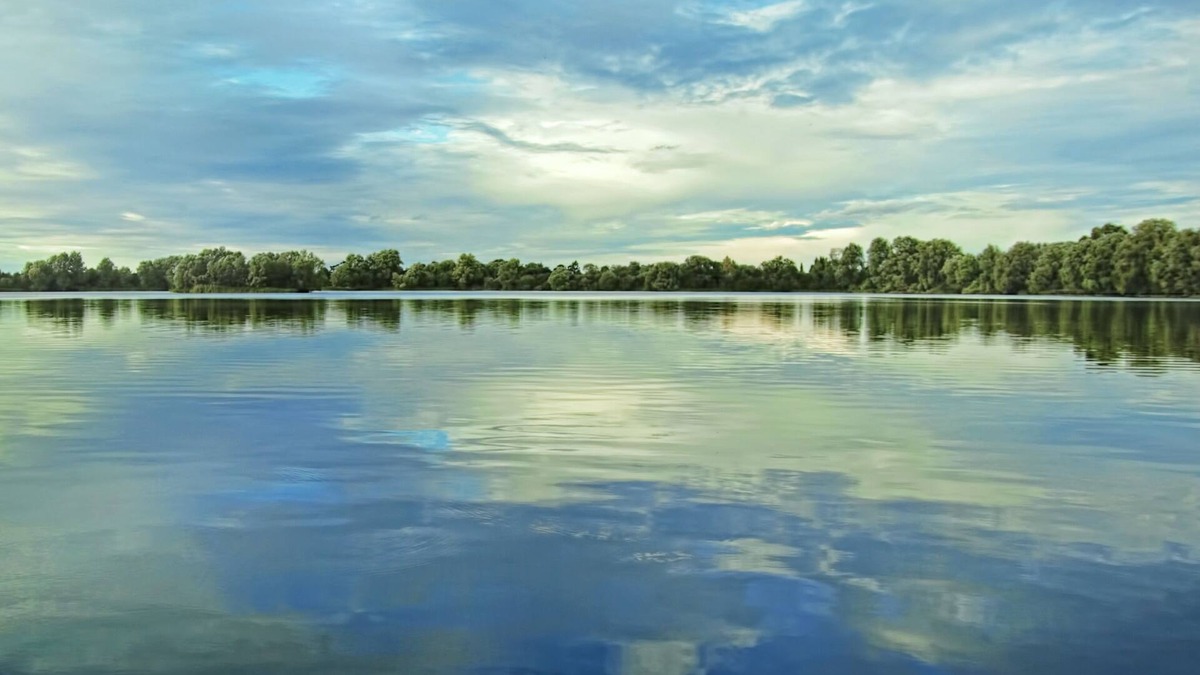 Fen Drayton House | Thorn House