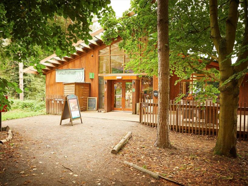 Thetford Resort | Thorpe Forest Cabins - Forest Holidays