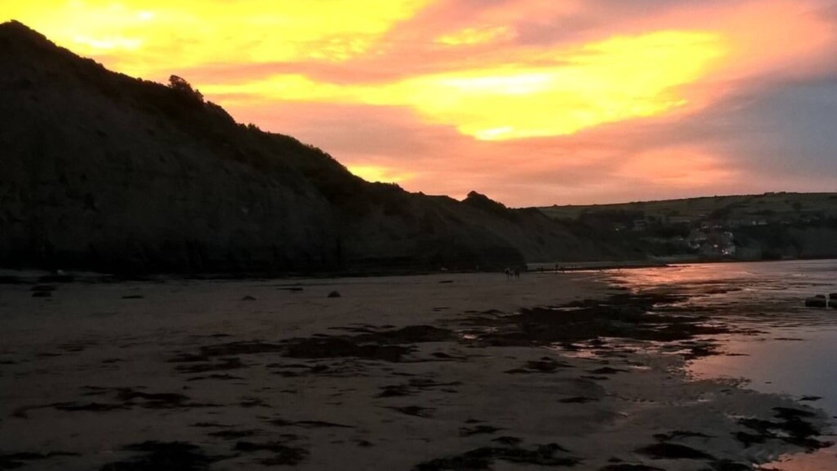 Fylingthorpe Bed & Breakfast | Thorpe Green House Vegetarian Bed and Breakfast