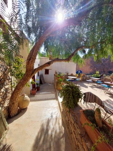 Amtdi Bed & Breakfast | Tigmi Bulbul