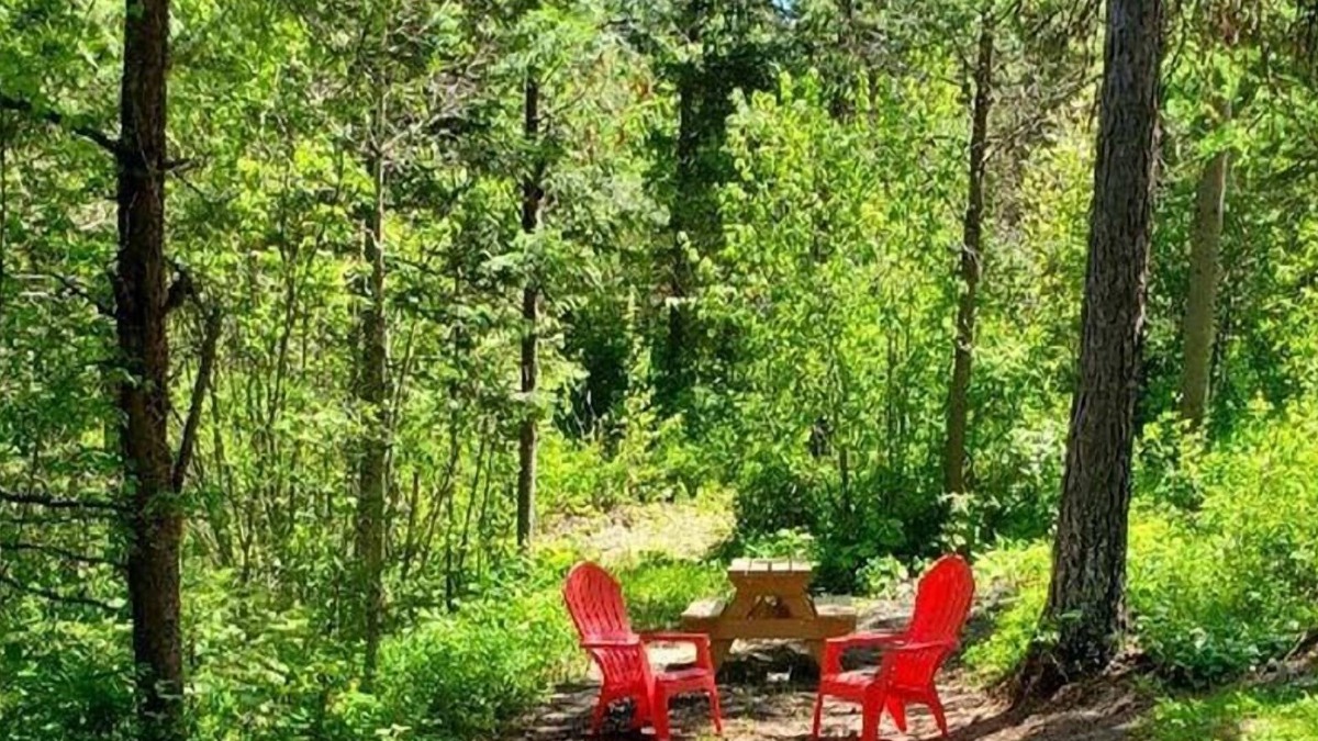 Whitefish Other | Timber Wolf Resort & Jeep Rentals