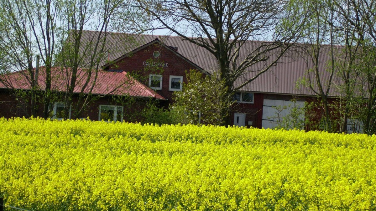 Aventoft Apartment | Time out from everyday life in Nordfriesland