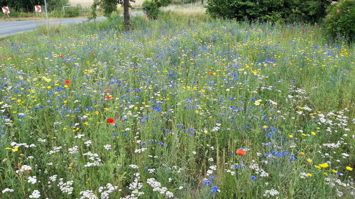 Luedinghausen Apartment | Timeless in the country