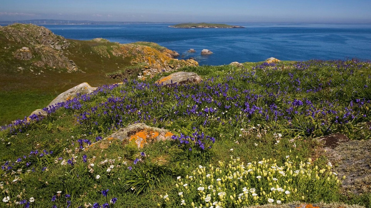 Kilmuckridge House | Tinnaberna Lodge Kilmuckridge