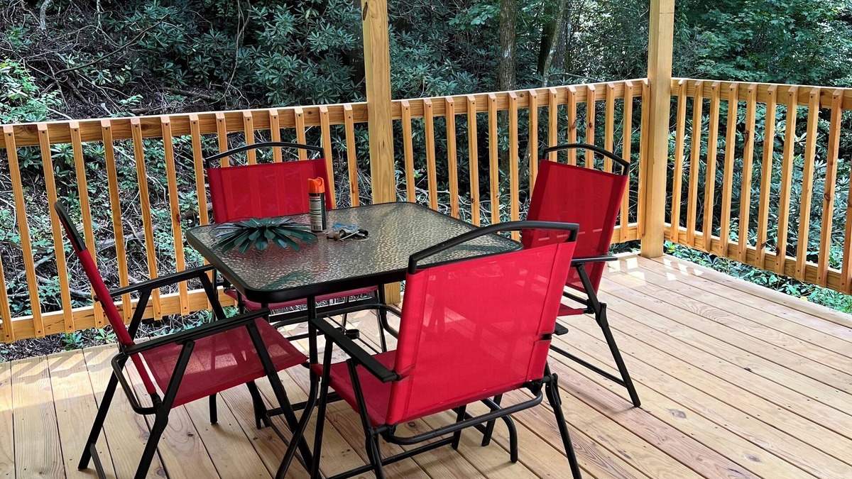 Marion Cabin | Tiny Cabin in the Laurels, with queen bed & queen sofa bed in wooded setting.