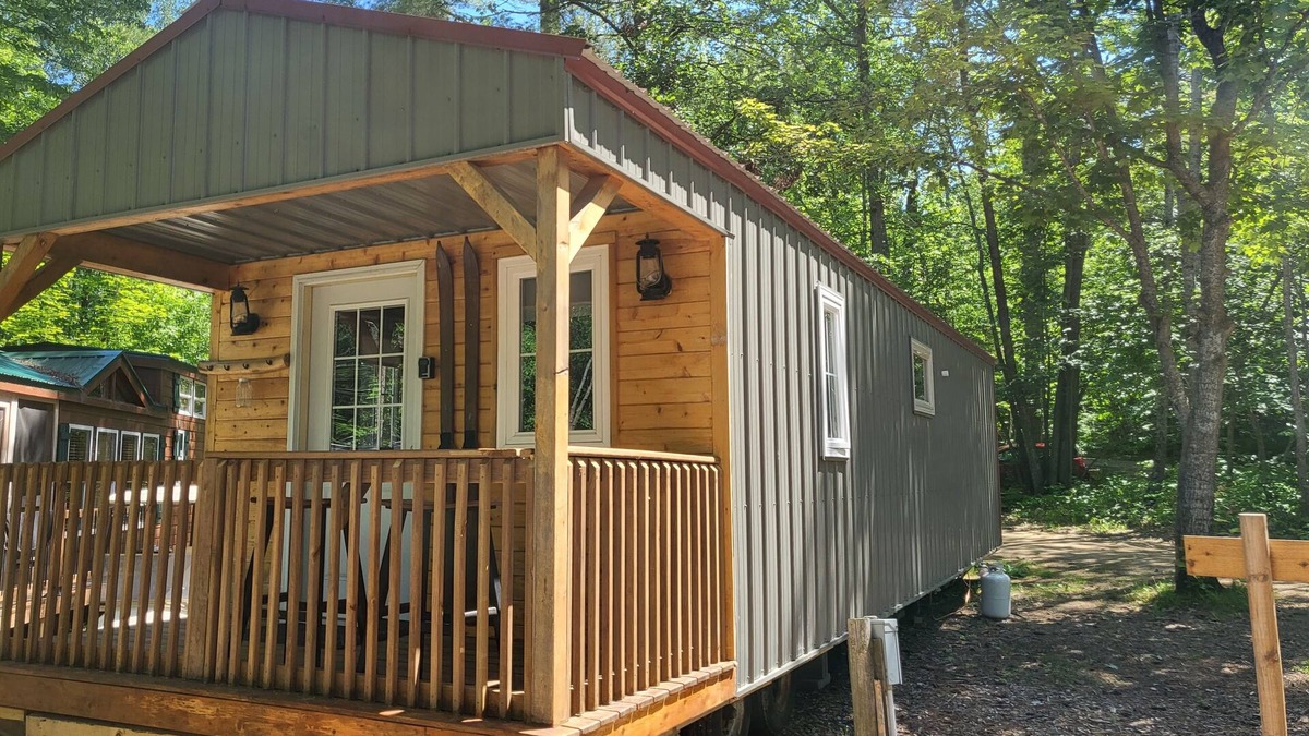 Nevis Cabin | Tiny cabin in towering pines, with lake view. Pets accepted!
