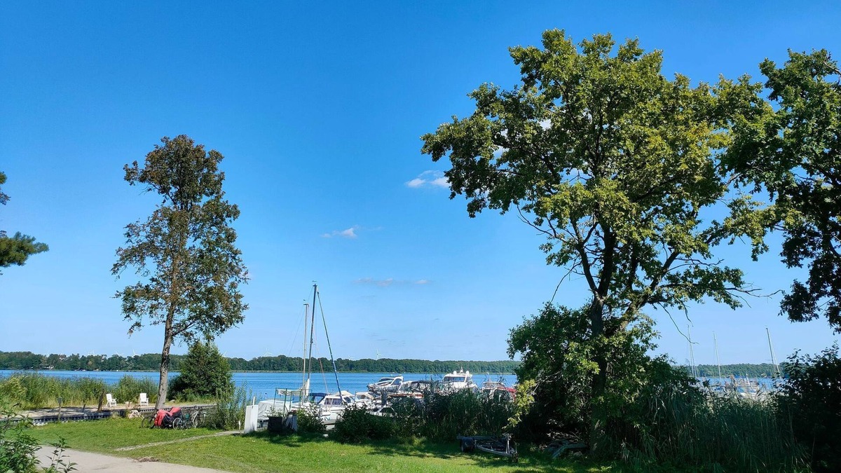 Schwielochsee House | Tiny House 2 - Tiny House am See mit Kamin