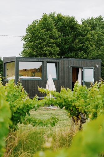 Arbis Cabin | Tiny House au milieu des Vignes