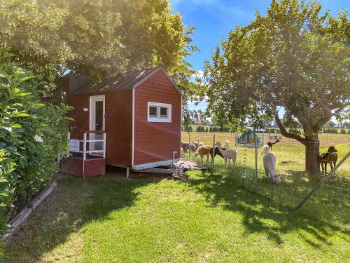Rubkow House | Tiny House auf der Alpaka Farm