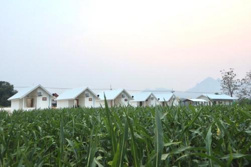 Chae Hom House | Tiny house homestay T3-5 Old