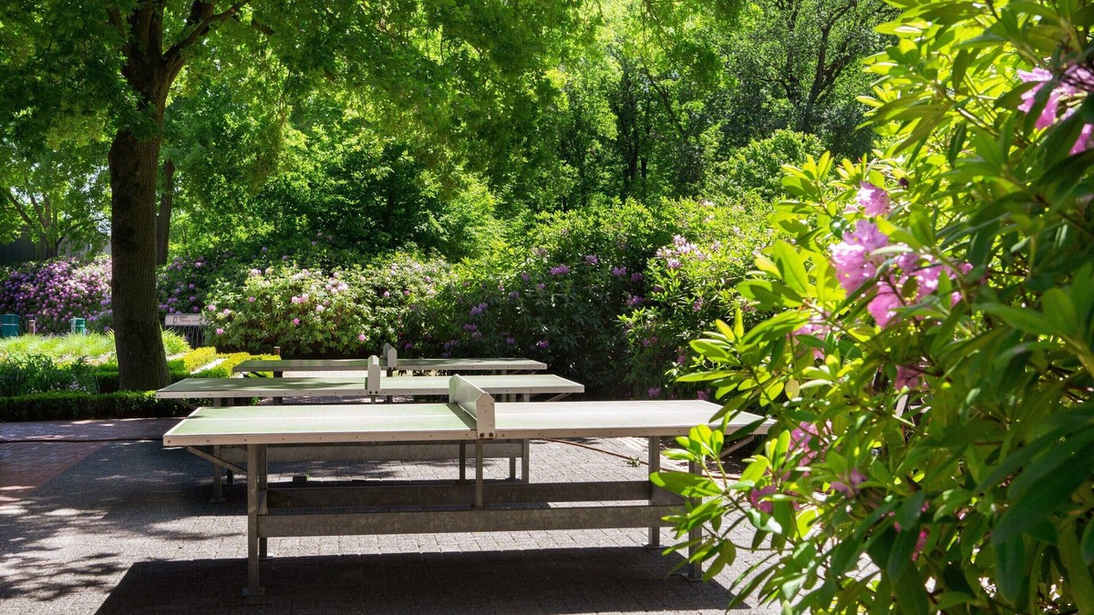 Oirschot Ski Chalet | Tiny House in Brabant With Cozy Terrace