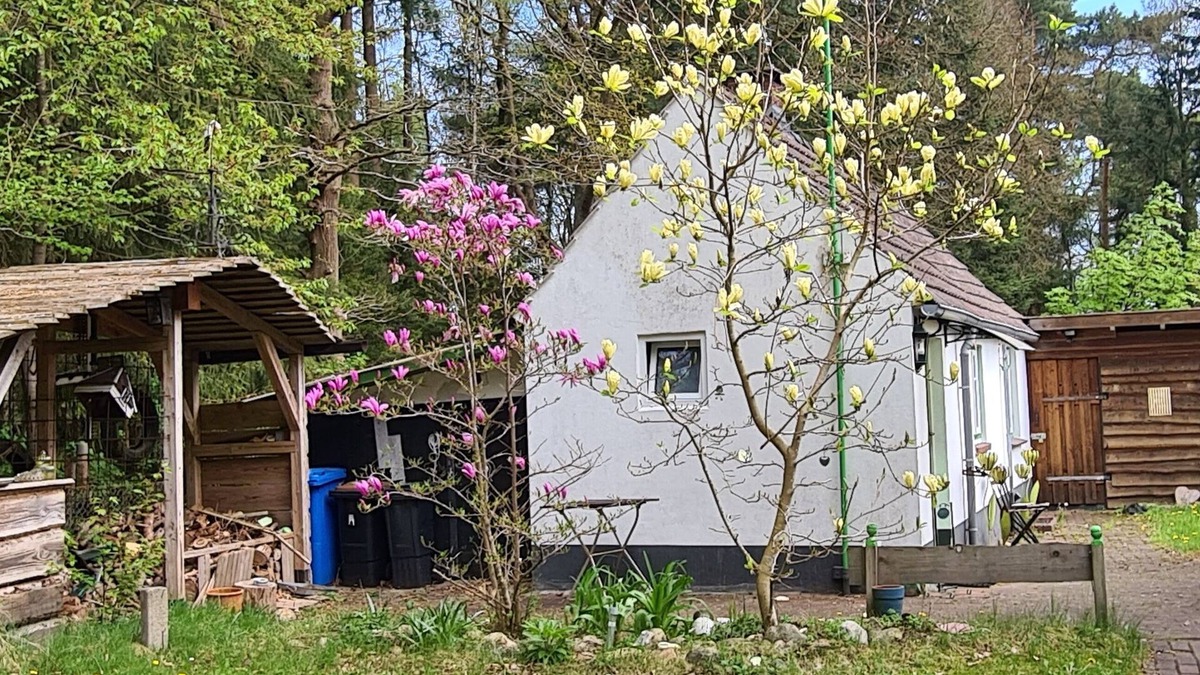Am Dobrock House | Tiny house in the Wingster Forest, near Nordesse, peace & relaxation in nature