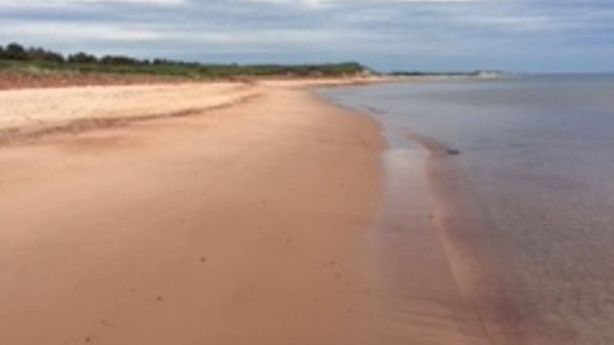 Saint Peters Bay Cottage | Tiny Perfect Cottage On PEI's North Shore