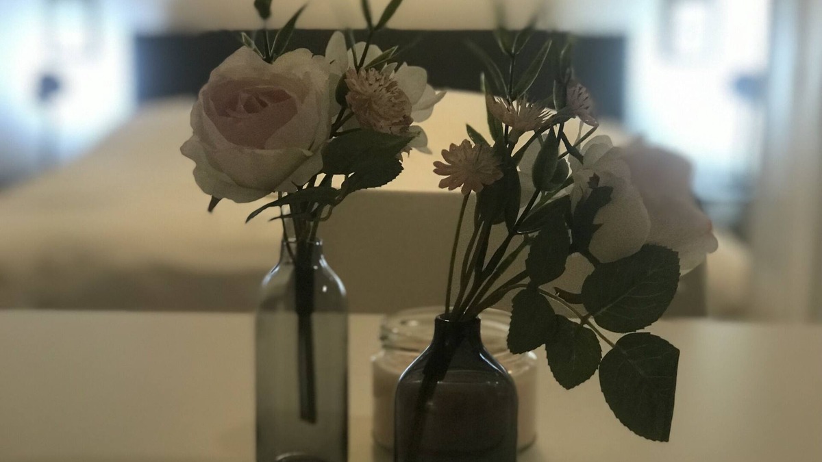 Radeberger Vorstadt Apartment | Tiny Spring Apartment