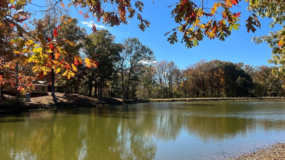 Oakland Cabin | TinyLakeEscape,Hot Tub near Memphis in Fayette County