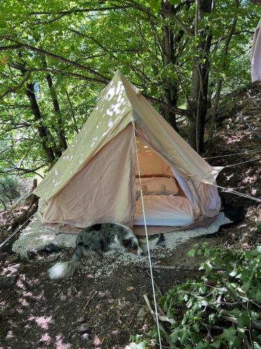 Vialas Other | Tipi Nature a l'Ombre des Tilleuls à Vialas en Cévennes