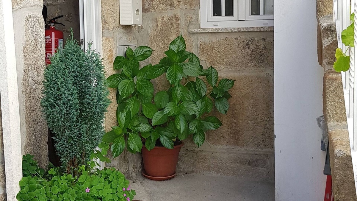 Gouveia House | Tipical home in the Sierra de Gouveia