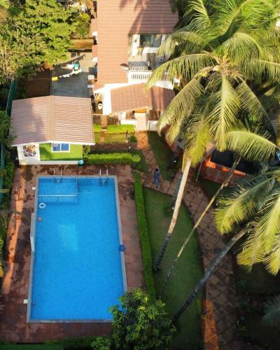 Nagaon House | Tipsy Spring Resort