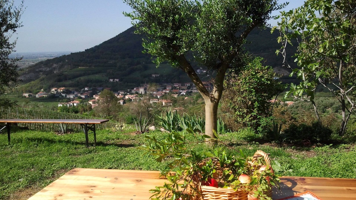 Cornoleda Apartment | To Venice by train and the autumn colors of the Euganean Hills