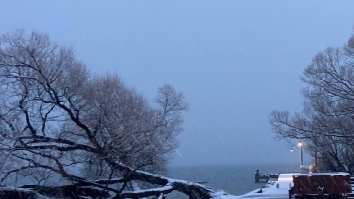 Glenorchy Cabin | Toddy’s Batch