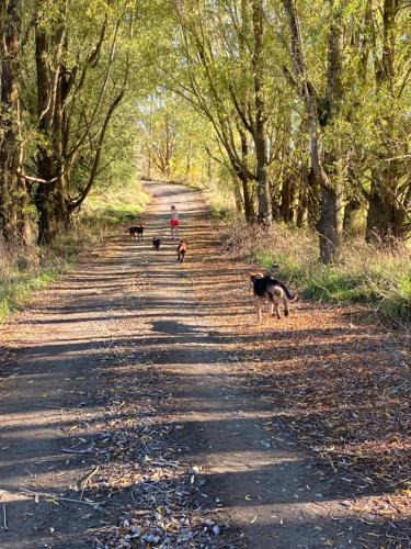 Southland District House | Tomogalak Lodge