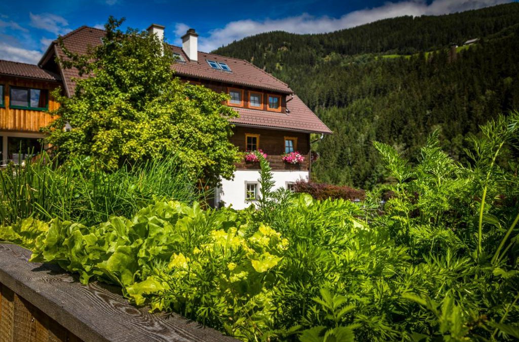 Tamsweg House | Tonibauer