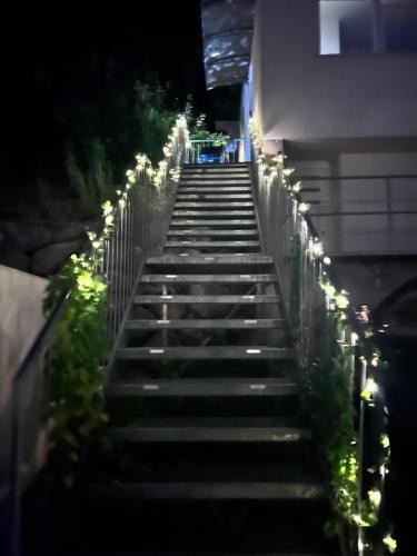 Enns House | TOP 2 Geräumiges 2 Zimmer Apartment für bis zu 6 Personen