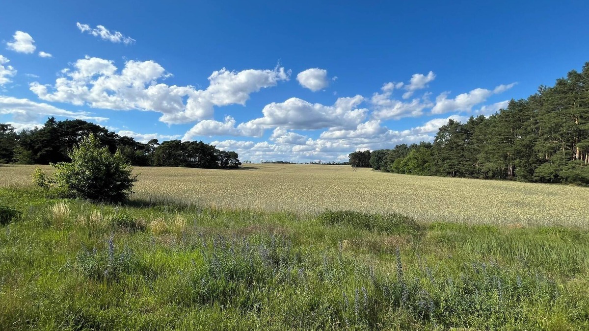 Bestensee Nord Apartment | TOP apartment near Berlin, very easy access