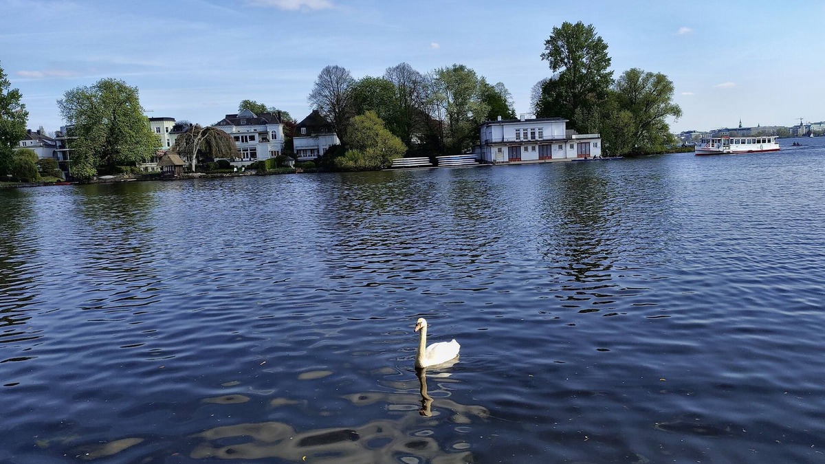 Winterhude Apartment | Top location 2 minutes walk to Alster