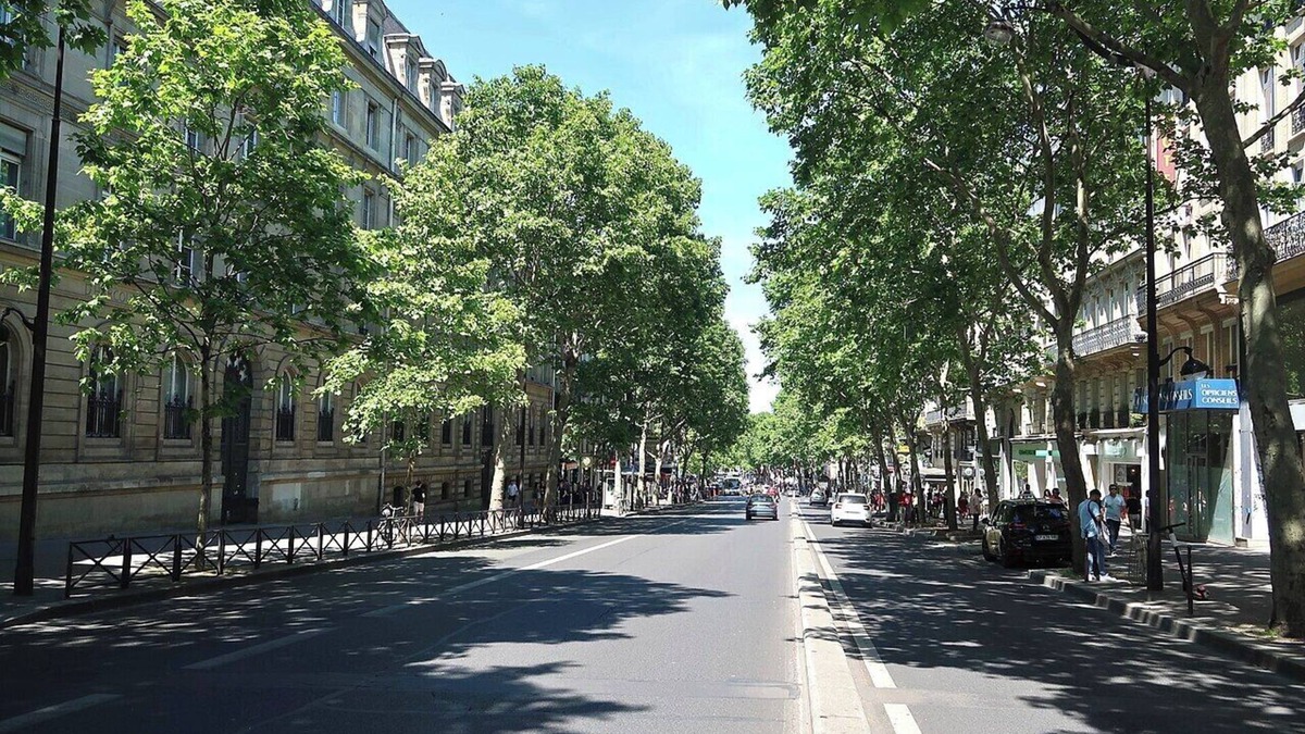 Latin Apartment | Top-of-the-Range Designer Stay–Daily Housekeeping –St Germain/Luxembourg Gardens