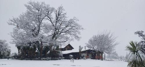 Springfield Ski Chalet | Torokiki bach