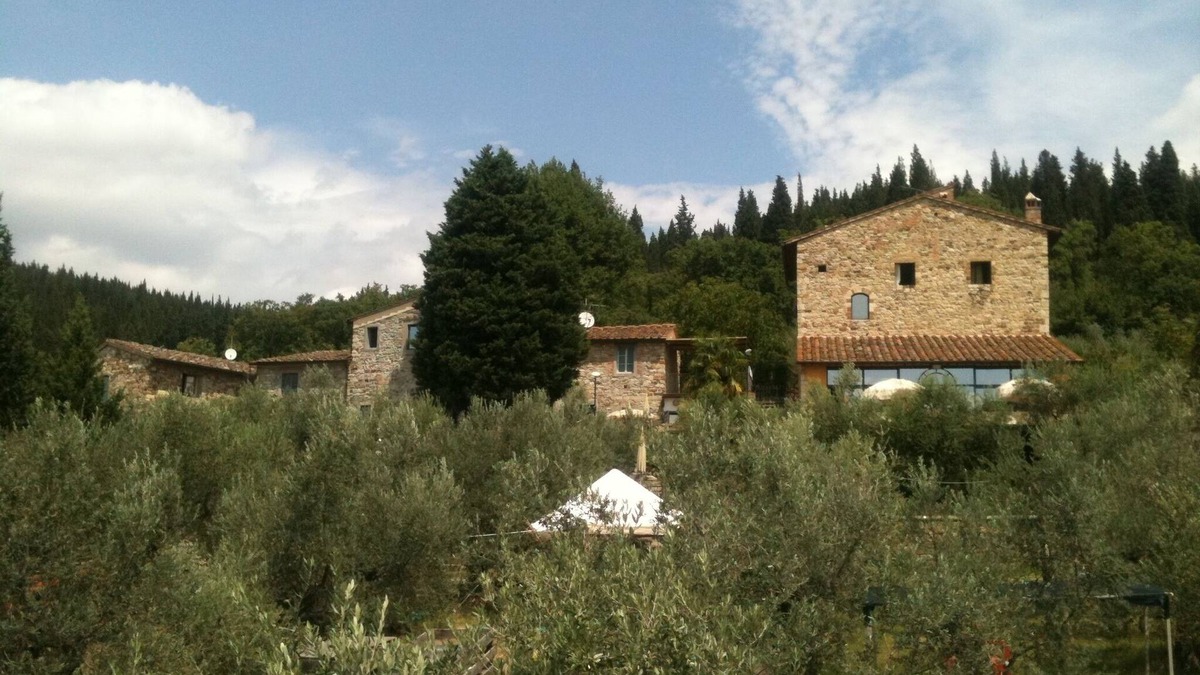 Calenzano Other | total relaxation amid the panoramic olive groves near Florence