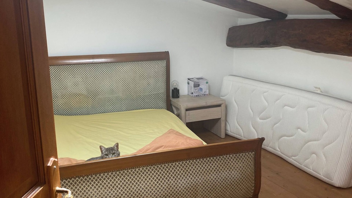 Lezan House | Town house near Anduze la bambouseraie in the Cévennes