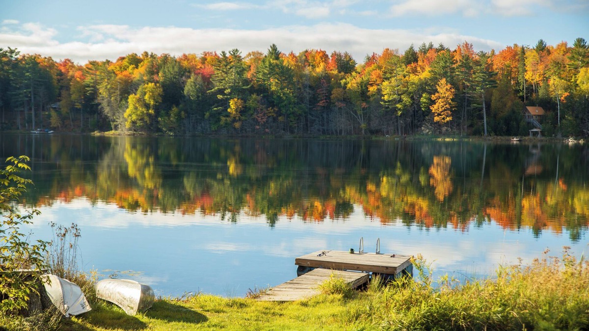 Wetmore House | Town Lake Hideaway: Golden Leaves & Crisp Air – Experience Fall at Town Lake!