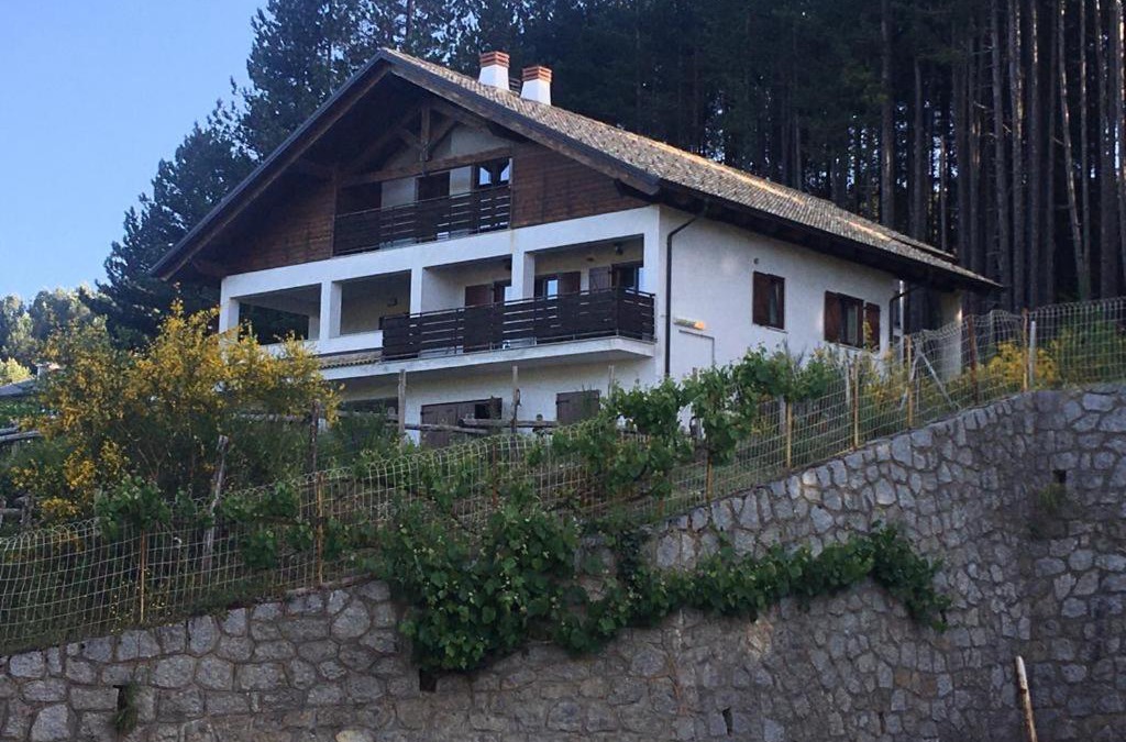 Lorica House | Tra il bosco e il lago